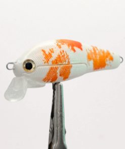 [MK8] Koi